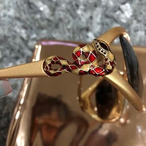 Genuine Roberto Cavalli Sunglasses